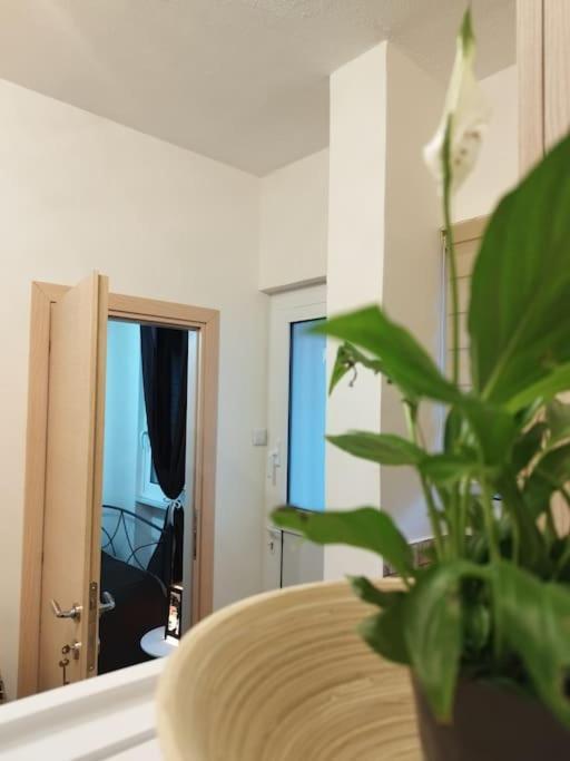 Esteticaapartments * Rhodes City